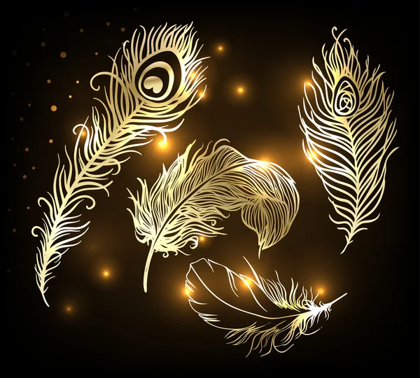 Ensemble plume d'or brillant — Image vectorielle