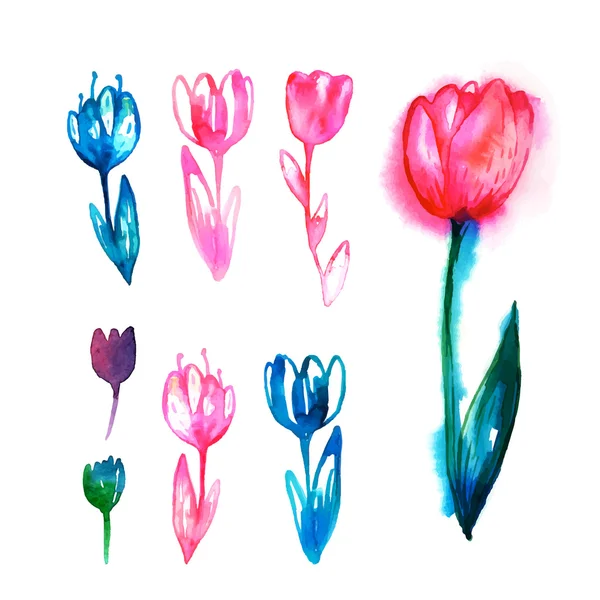 Ensemble tulipes aquarelle — Image vectorielle