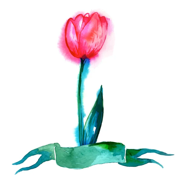 Aquarell Tulpe und Band — Stockvektor