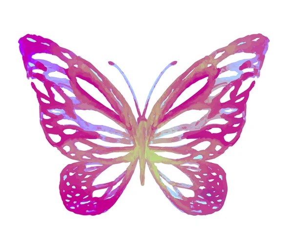 Aquarell-Schmetterling isoliert auf Weiß — Stockvektor