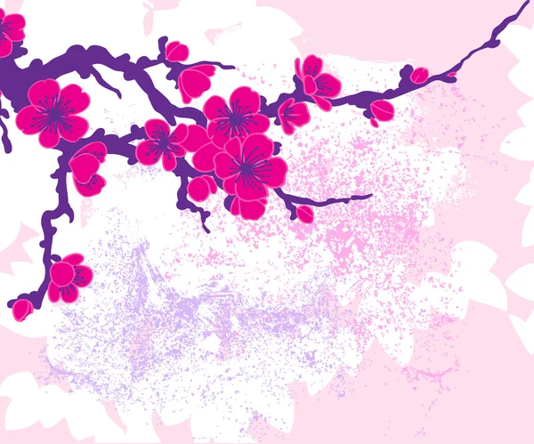 Branch of Sakura flowers — Stock Vector