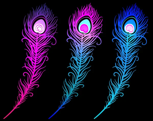 renkli tavus kuşu tüyü