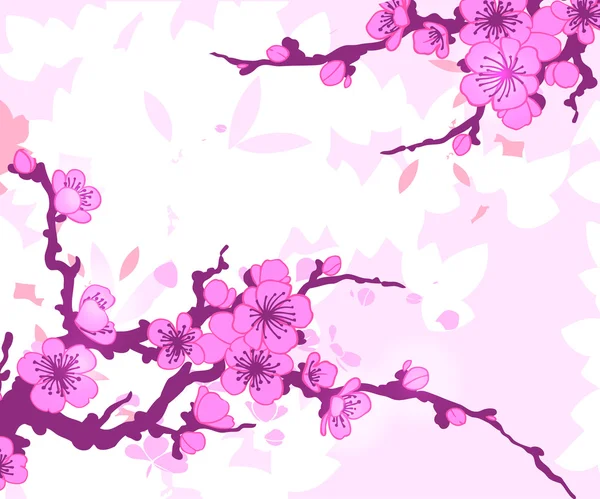 Branches of Sakura flowers — Stock Vector