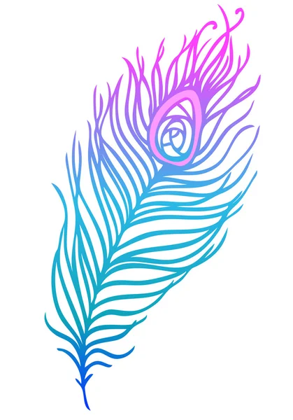 Plume de paon colorée — Image vectorielle