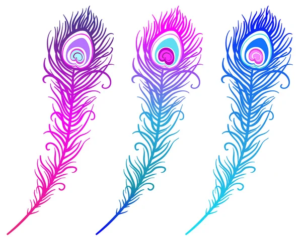 Plumes de paon colorées — Image vectorielle