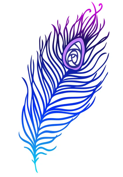 Kleurrijke peacock feather — Stockvector