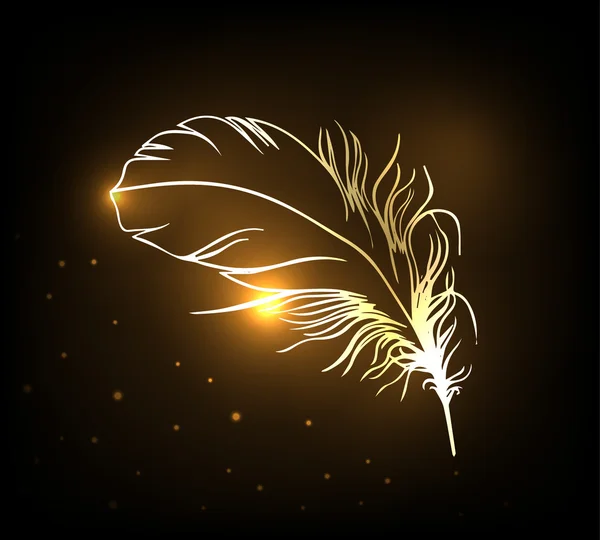 Golden peacock feather Vector Art Stock Images | Depositphotos