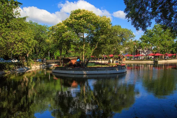 Summer View Pond Park — Stock Photo, Image