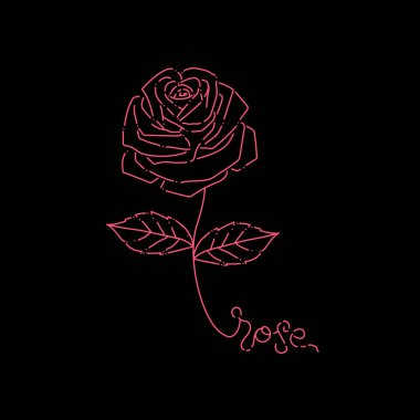 Tişört tasarımı için pembe gül çizimi, vektör illüstrasyonu