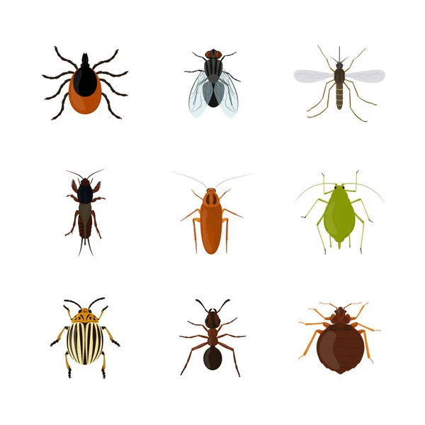 Sada různých hmyzu izolovaných na bílém pozadí — Stockový vektor