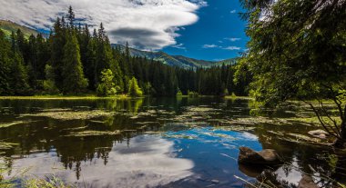 Vrbicke tarn yansıma