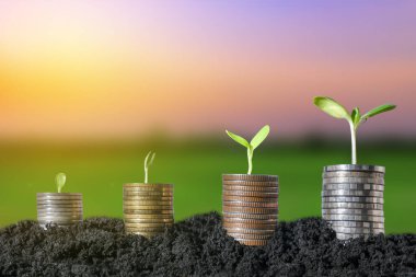 Artan Değer Katma Sermayesi Para Üzerine Ağaç Büyümesi Gibi Finansal ve Yatırım Diyagramı Konsepti