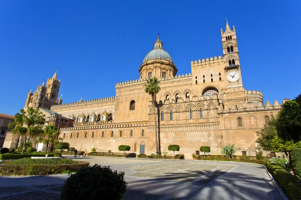 A székesegyház a Palermo — Stock Fotó