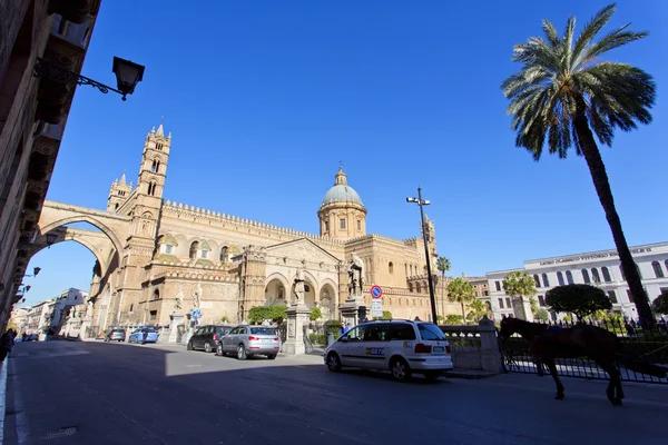 Die kathedrale von palermo — Stockfoto