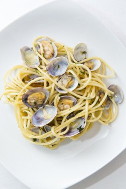 Taze istiridye spagetti