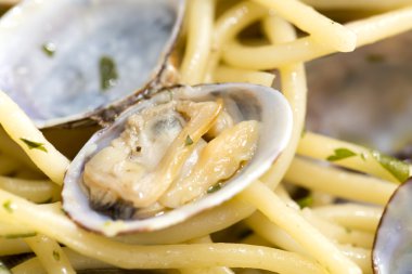 Taze istiridye spagetti