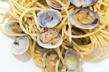 Taze istiridye spagetti