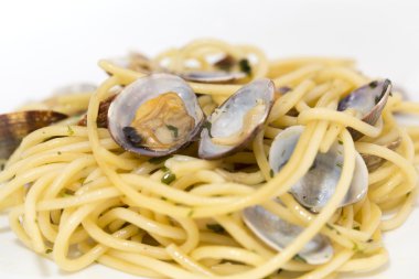 Taze istiridye spagetti