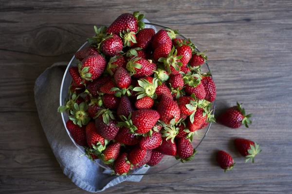 Aardbeien, focus geselecteerd — Stockfoto