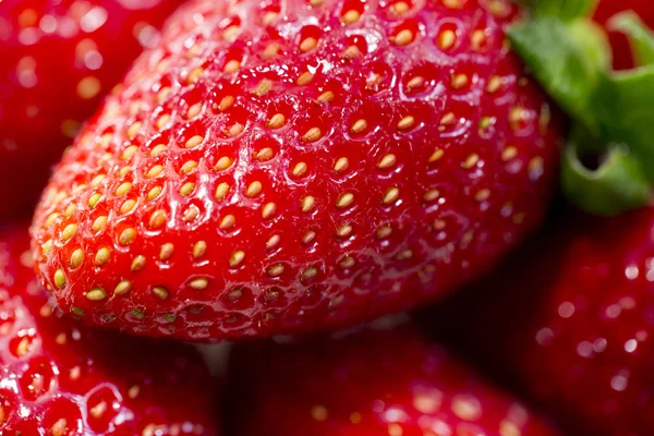 Strawberries, focus selected — Stock Photo, Image