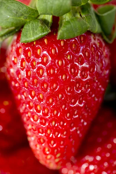 Strawberries, focus selected — Stock Photo, Image