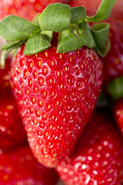 Strawberries, focus selected — Stock Photo, Image