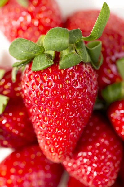 Aardbeien, focus geselecteerd — Stockfoto