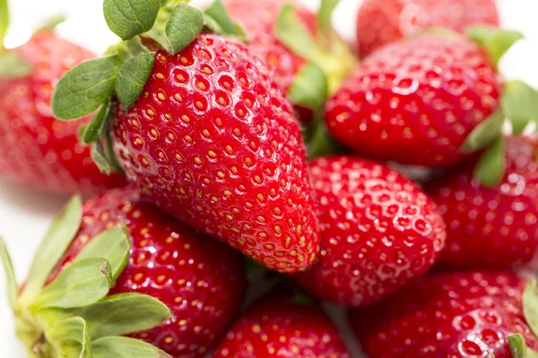 Aardbeien, focus geselecteerd — Stockfoto