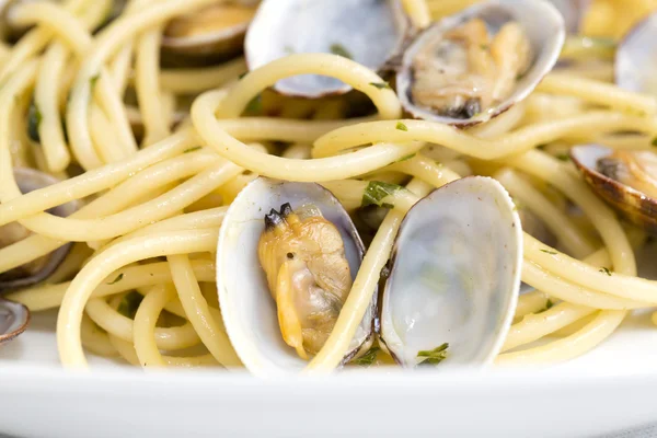 Espaguetis con almejas frescas — Foto de Stock