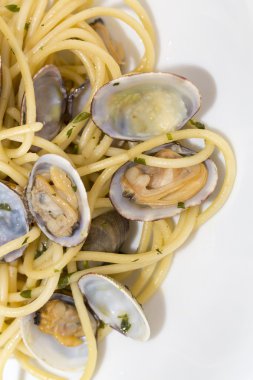 Taze istiridye spagetti