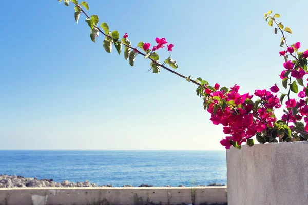 Costa Siciliana por la mañana — Foto de Stock