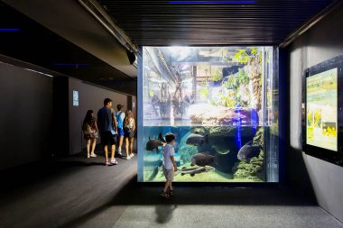 Ceneviz, Ligurya, 19 Temmuz 2019: Ceneviz, Ligurya, İtalya akvaryumu