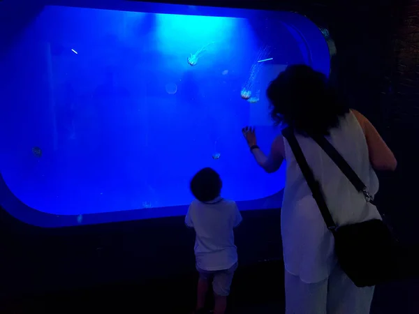 2019年7月19日 利古里亚热那亚 参观意大利利古里亚热那亚水族馆 — 图库照片