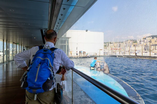 Genua Ligurië Juli 2019 Bezoek Aan Het Aquarium Van Genua — Stockfoto