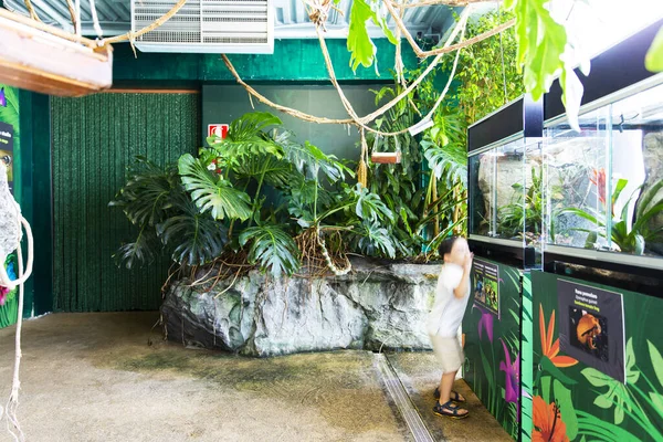 Genua Ligurië Juli 2019 Bezoek Aan Het Aquarium Van Genua — Stockfoto