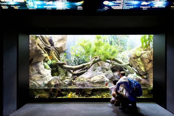 Genua Ligurië Juli 2019 Bezoek Aan Het Aquarium Van Genua — Stockfoto