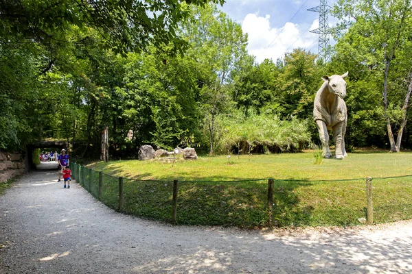 Bussolengo Verona July 2019 Family Visits Bussolengo Prehistoric Park Verona — Stock Photo, Image