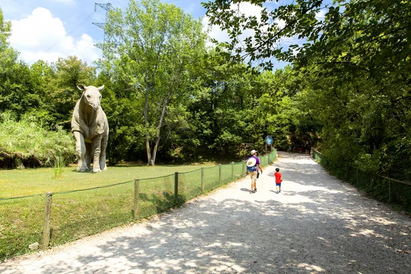 Буссоленго Верона Июля 2019 Года Посещение Семьей Доисторического Парка Буссоленго — стоковое фото