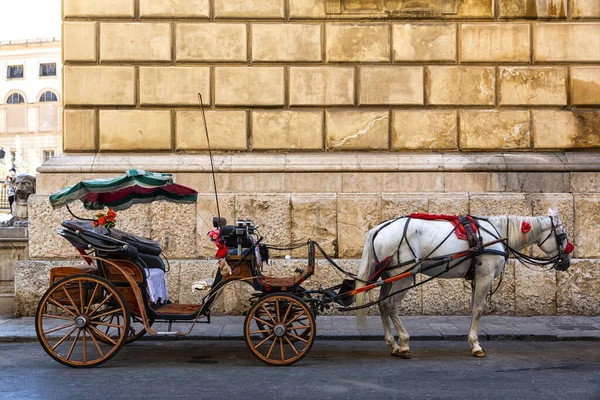 Sycylijski Wózek Maqueda Historycznym Centrum Palermo Pobliżu Piazza Pretoria — Zdjęcie stockowe