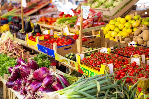 Capo Mercado Palermo Sicília Barracas Mercado Variadas Este Dos Vários — Fotografia de Stock