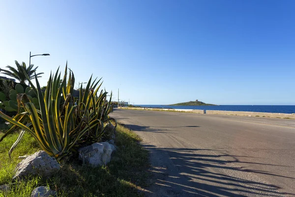 Hermosa Vista Isola Delle Femmine Una Isla Muy Pequeña Provincia — Foto de Stock