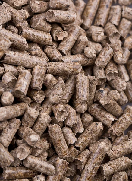 Wooden pellets — Stock Photo, Image