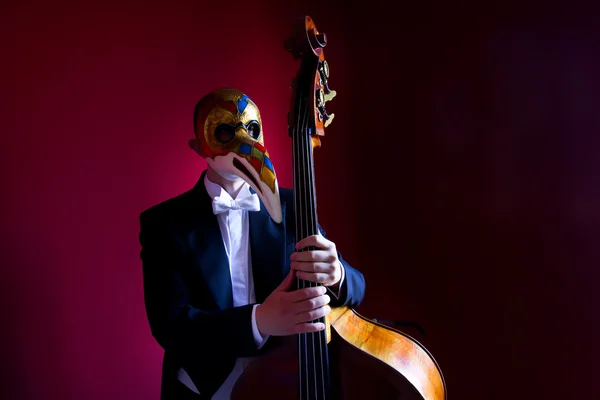 Double bass — Stock Photo, Image