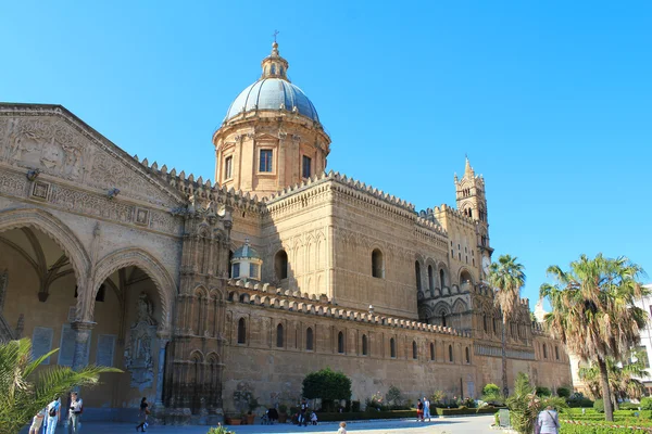 Palermo-félék — Stock Fotó