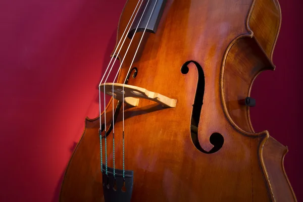 Double bass — Stock Photo, Image