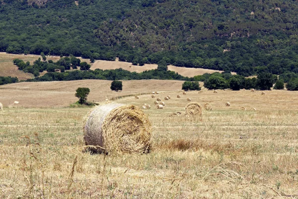 Montalcino — Zdjęcie stockowe