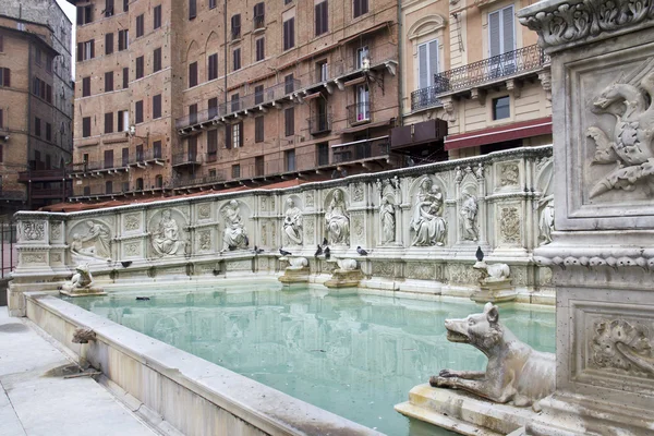 Siena — Stock fotografie