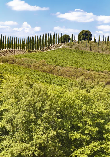 Utsikt över landskapet i Toscana. Italien — Stockfoto