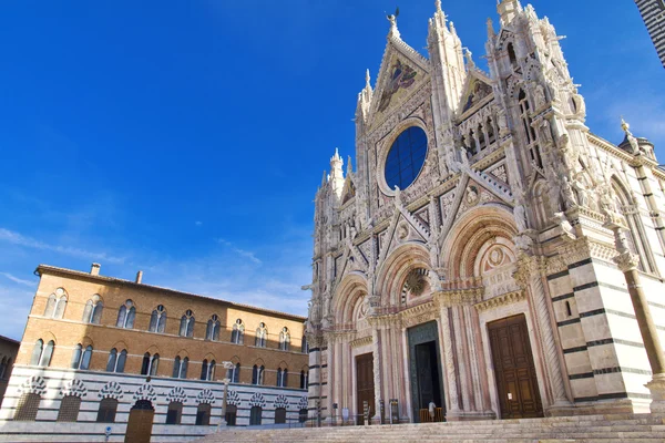 Siena! — Stock Fotó