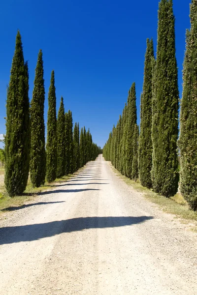 Krajobraz w regionie Montalcino w pobliżu Sieny, Toskania, Włochy, Europa. — Zdjęcie stockowe